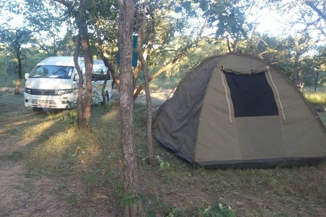 13 Days Best Of Zimbabwe - Day 3: Morning in Hwange National Park