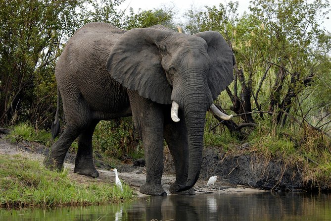 13 Days Best Of Zimbabwe - Days 7 and 8: Elephants and open country in Gonarezhou