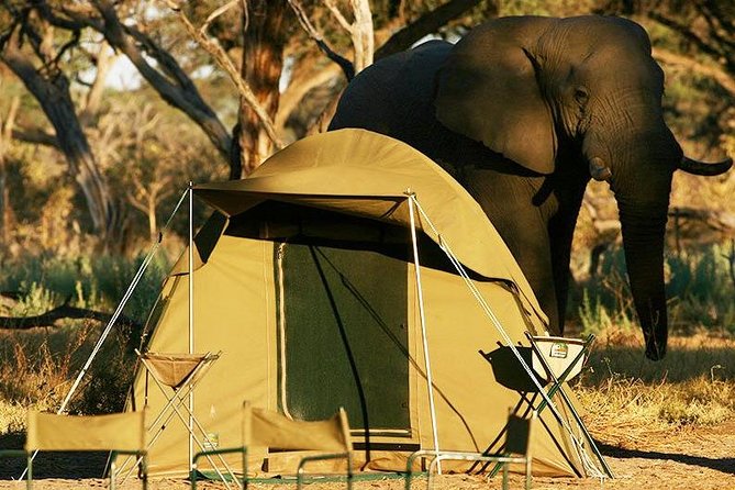 2-Day Camping Safari in Chobe National Park from Victoria Falls - Why Chobe works for a short safari from Victoria Falls