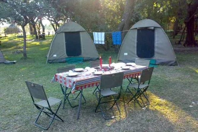 2-Day Camping Safari in Chobe National Park from Victoria Falls - Two game drives and the search for big cats