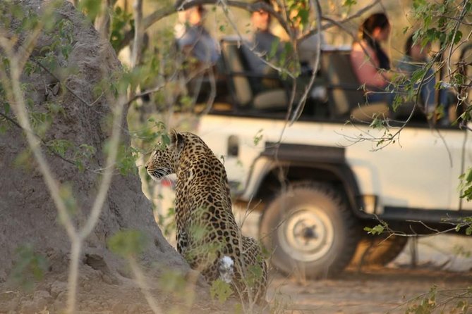 2-Day Camping Safari in Chobe National Park from Victoria Falls - Food, weather, and what to pack