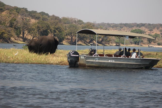 2-Day Camping Safari in Chobe National Park from Victoria Falls - The guide can shape the whole experience