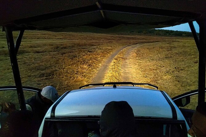 2 Hour Stargazing Tour in Victoria Falls NP Area in 4x4 - Why stargazing near Victoria Falls feels different