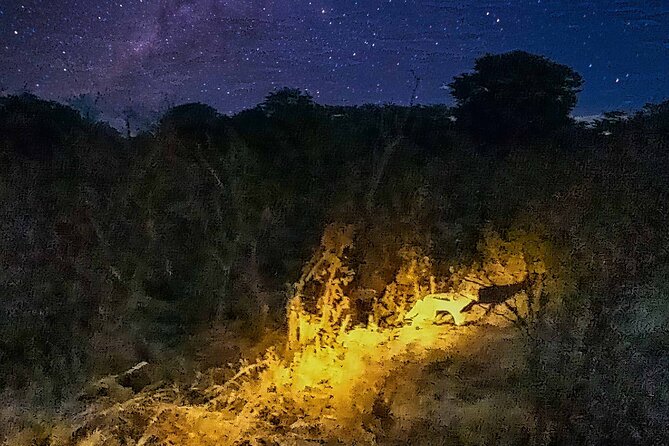 2 Hour Stargazing Tour in Victoria Falls NP Area in 4x4 - Practical booking advice for a smooth evening