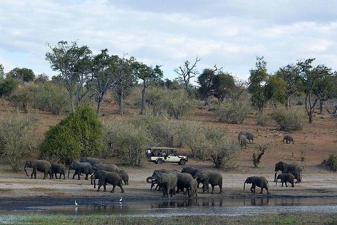 3 Day Chobe National Park Camping Safari - Who will get the most from this safari?