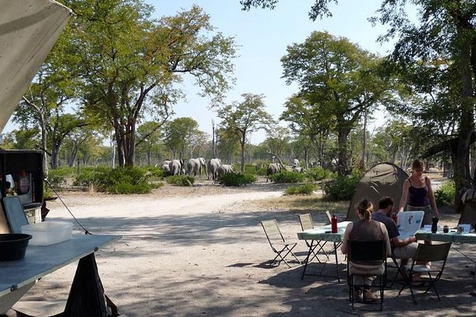 3 Day Chobe National Park Camping Safari - Day 1: entering Chobe and settling into the bush