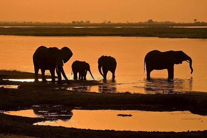 3 Day Chobe National Park Camping Tour - The Chobe River Cruise And Its Best Sights