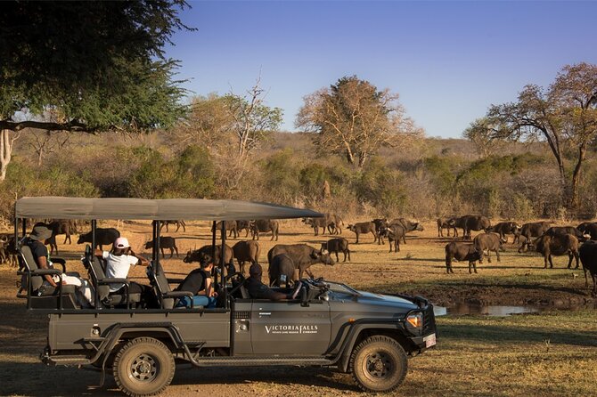 3-Day Victoria Falls Safari with Dinner Cruise - Day two afternoon: Nakavango Private Game Reserve