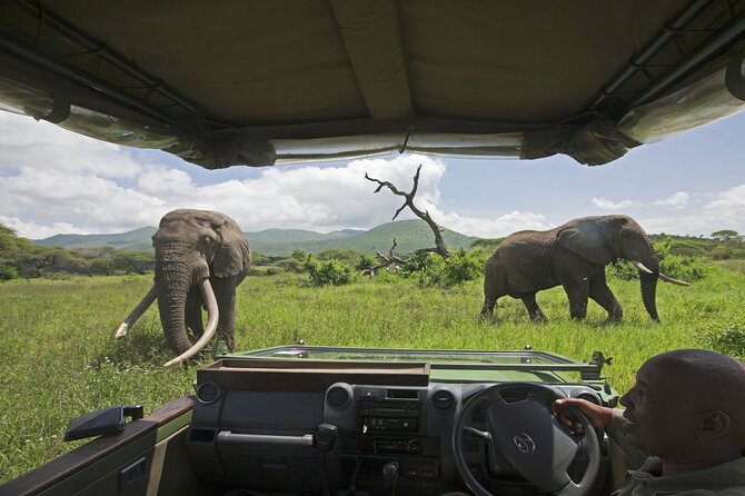 3-Day Victoria Falls Safari with Dinner Cruise - Transfers, timing, and group size