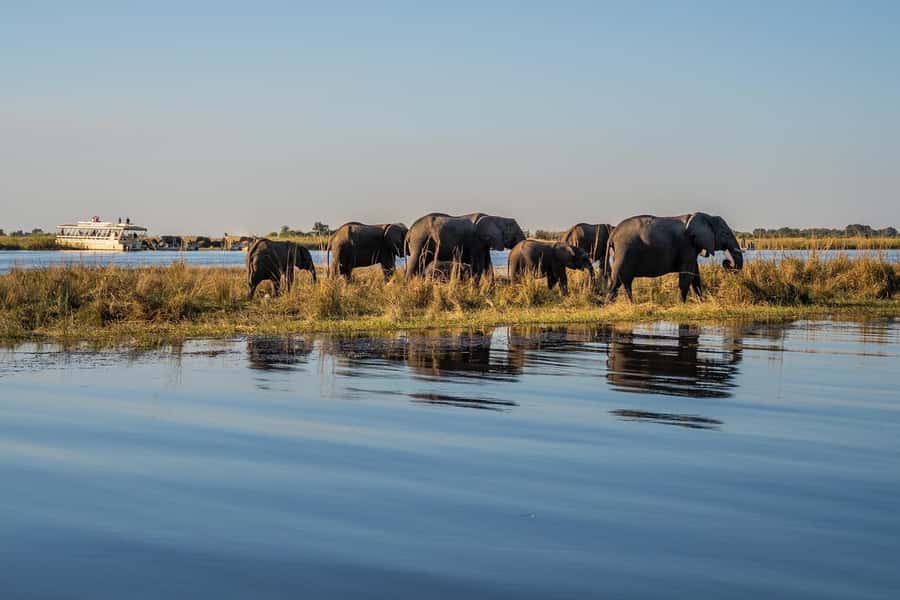 3 Days Explore Zambia, Zimbabwe and Chobe Park in Botswana - What this three-day route really gives you