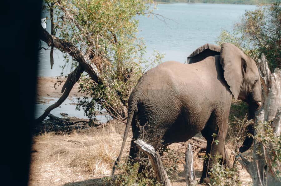 3 Days Explore Zambia, Zimbabwe and Chobe Park in Botswana - Victoria Falls from the Zambian side