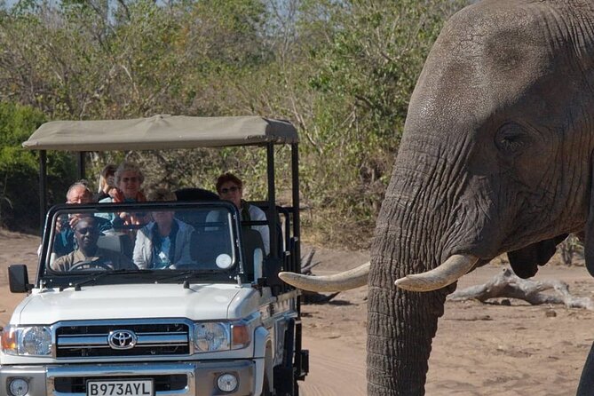 3 Days in Victoria Falls & Chobe National Park Combo - What This Three-Day Package Really Includes
