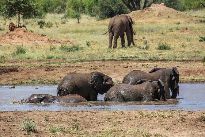 4-Day Discover Victoria Falls, Chobe and Hwange Park - Guides and the small-group setup
