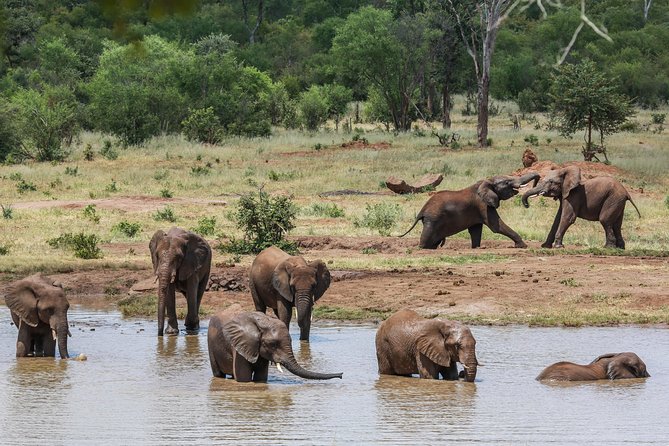 4-Day Discover Victoria Falls, Chobe and Hwange Park - Timing, booking, and practical drawbacks