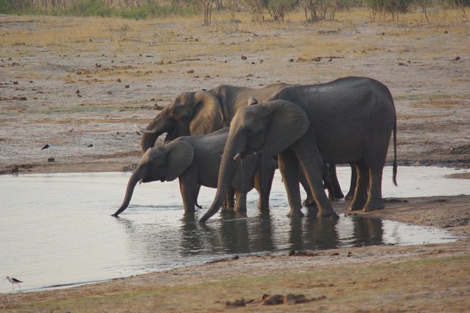 4 days Hwange Safari Game drive Staying at Iganyane Tented camp - Day 1: Leaving Victoria Falls for Hwange