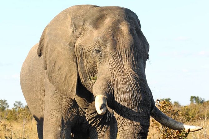 4 Days Victoria Falls Safari Tour & Chobe National Park game drive - The overall shape of this Victoria Falls safari