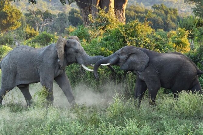 4 Days Victoria Falls Safari Tour & Chobe National Park game drive - Is $1,850 a fair price?