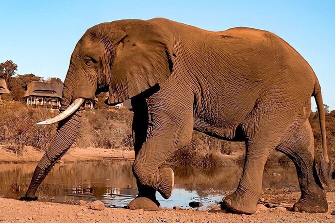 4 Days Victoria Falls Safari Tour & Chobe National Park game drive - Should you book this Victoria Falls and Chobe tour?