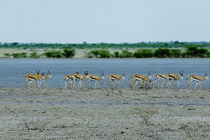 5 Day Chobe National Park Accommodated Tour Safari - Walking through Victoria Falls from Viewpoint 1 to 16