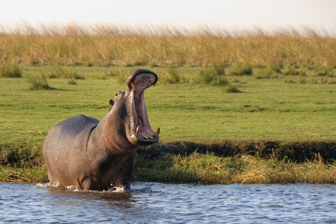 5-DAY Victoria Falls and Chobe National Park - Key things to know before booking