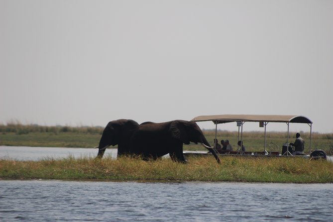 5-DAY Victoria Falls and Chobe National Park - Why this five-day combination works