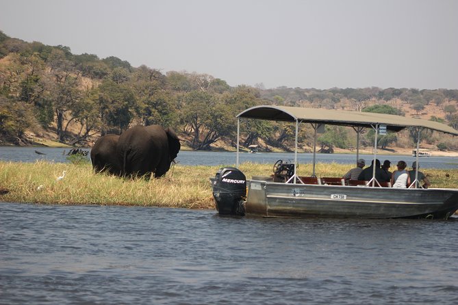 5-DAY Victoria Falls and Chobe National Park - Day three: Chobe National Park by boat and 4x4