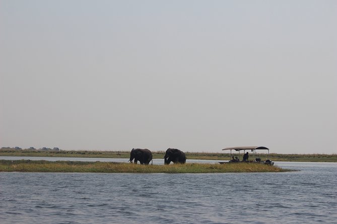 5-DAY Victoria Falls and Chobe National Park - Day five: one last choice before departure