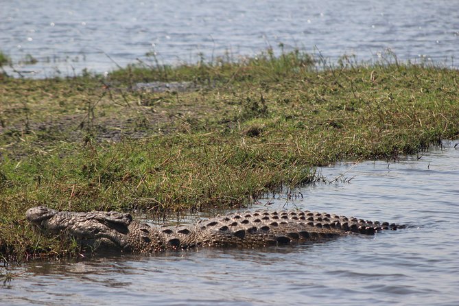 5-DAY Victoria Falls and Chobe National Park - Who will enjoy this tour most