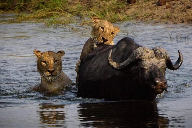 5 Day Victoria Falls and Chobe National Park Camping Tour - Camping comfort and the practical side