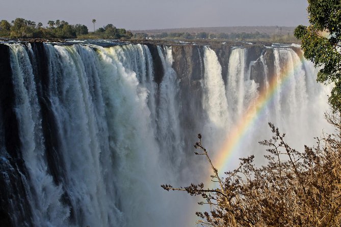 5 Day Victoria Falls and Chobe National Park Luxury Accommodated Tour - Why this five-day pairing works