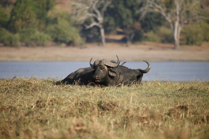 5 Day Victoria Falls and Chobe National Park Luxury Accommodated Tour - Who will enjoy this trip most