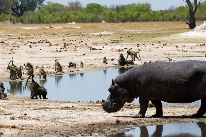 5 Day Victoria Falls and Hwange National Park Accommodated Safari Tour - Why this five-day pairing works