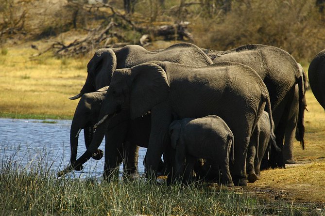 5 Day Victoria Falls and Hwange National Park Accommodated Safari Tour - Who will enjoy this safari most