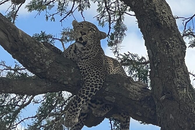 5-Day Visit Zimbabwe, Zambia, Botswana & Namibia Island - Four countries without four separate bookings