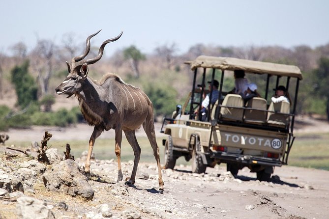 6-day Hwange, Chobe & Victoria Falls Combo - Why this southern Africa route works