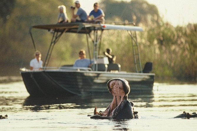 6-day Hwange, Chobe & Victoria Falls Combo - Days two and three: the main Hwange safari block