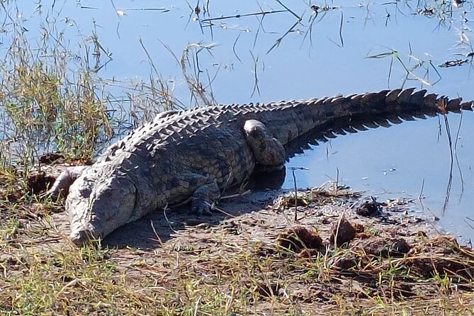 6 Days Victoria Falls Chobe Wildlife and Okavango Delta Tour - A long road to the Makgadikgadi Salt Pan