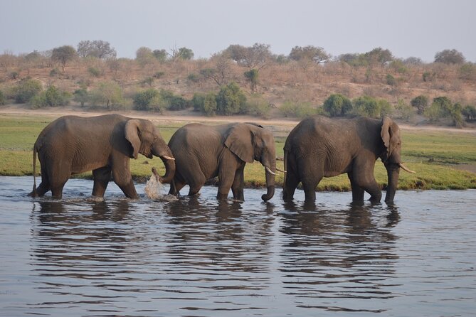 6 Days Victoria Falls Chobe Wildlife and Okavango Delta Tour - What the $2,250 price covers