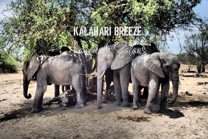 7 Day Highlights Of Botswana Overland Tour – ACCOMODATED (midrange) - Day 5: The long move to Maun