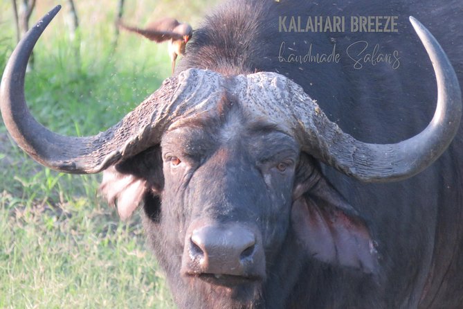 7 Day Highlights Of Botswana Overland Tour – ACCOMODATED (midrange) - Day 6: Into the Okavango by boat and mokoro