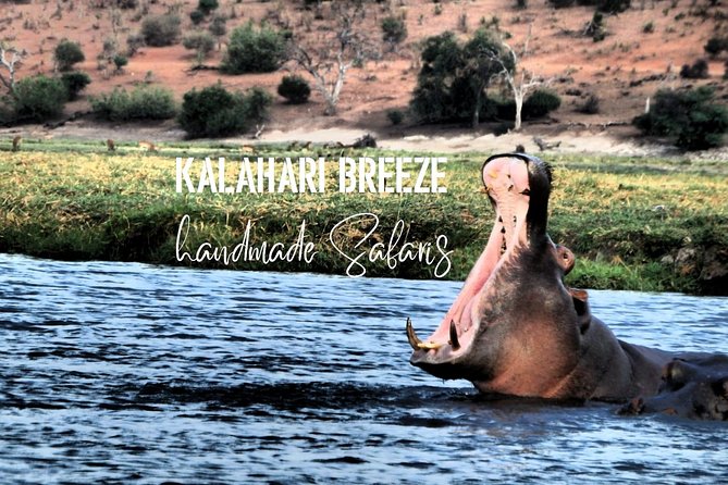 7 Day Highlights Of Botswana Overland Tour – ACCOMODATED (midrange) - Day 7: A straightforward finish in Maun