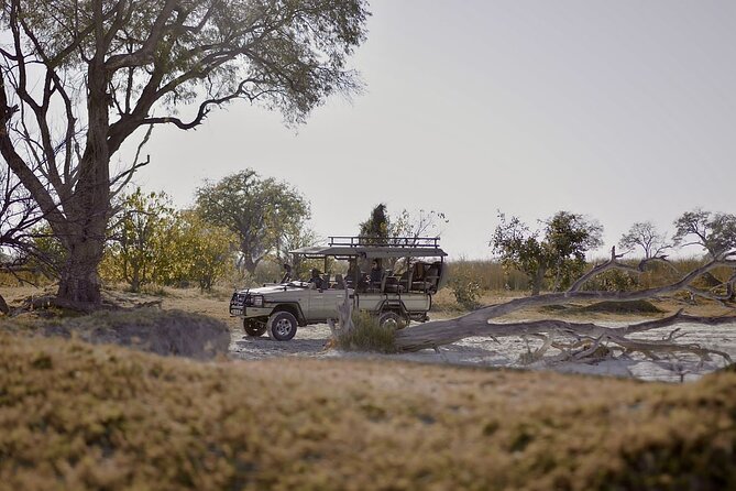 8 Day Chobe NP, Elephant Sands, Okavango Delta & Victoria Falls - The strongest parts of the trip