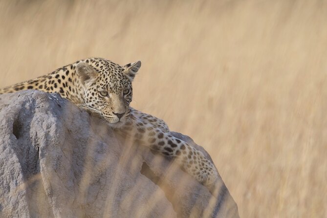 8 Day Chobe NP, Elephant Sands, Okavango Delta & Victoria Falls - Day 2: Victoria Falls from Zimbabwe and Zambia