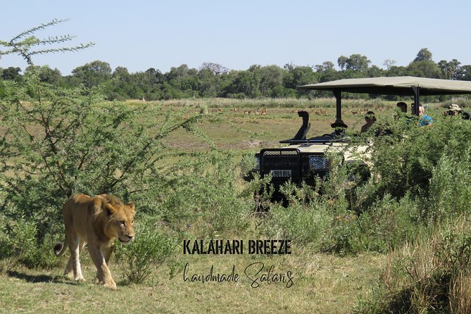 8 Day Highlights Of Botswana & Victoria Falls Overland Tour - Day 5: Meerkats, salt-pan options, and the Okavango