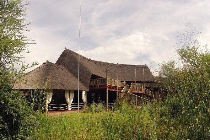 8 Day Highlights Of Botswana & Victoria Falls Overland Tour - Day 7: More mokoro time, guided walks, and Maun
