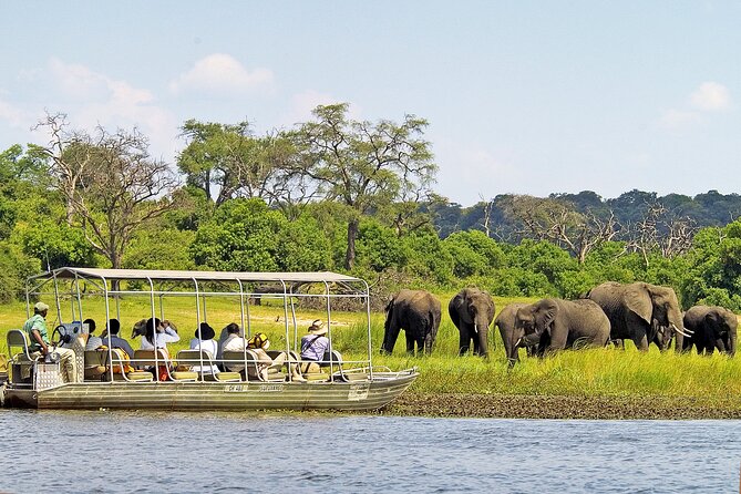 A 2 Day Victoria Falls & Chobe Safari Combo - Crossing into a full Chobe wildlife day