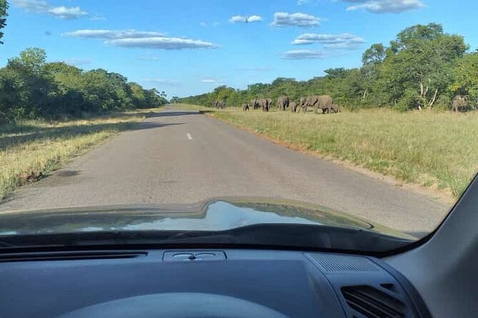 Airport, Hotel and local transfers in Victoria Falls - Leaving Victoria Falls Airport with less fuss