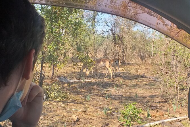 Airport, Hotel and local transfers in Victoria Falls - The airport road offers more than a simple taxi ride