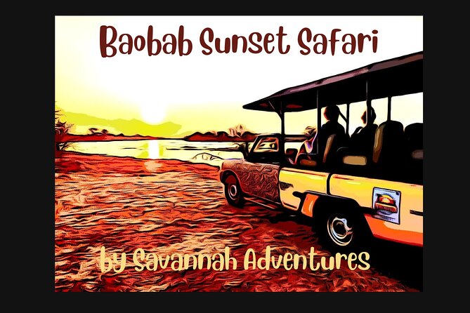 Baobab-Sunrise-Sunset-Vulture-Moonlight Safaris, 4 Options - Key points before you book