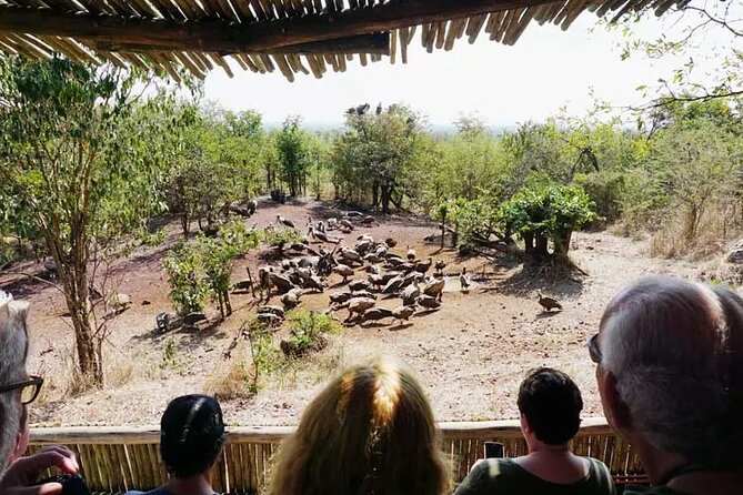 Baobab-Sunrise-Sunset-Vulture-Moonlight Safaris, 4 Options - A safari ride that begins in Victoria Falls town